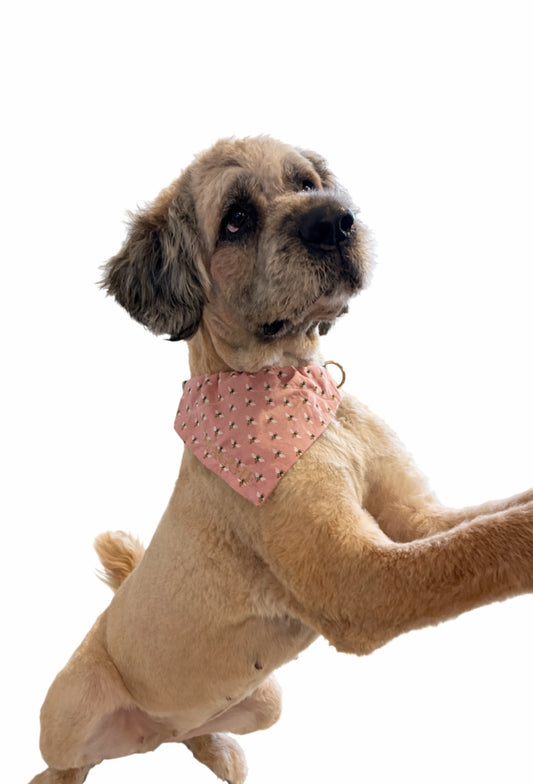 ‘Sweet as Honey’ Bumble Bee Dog Bandana