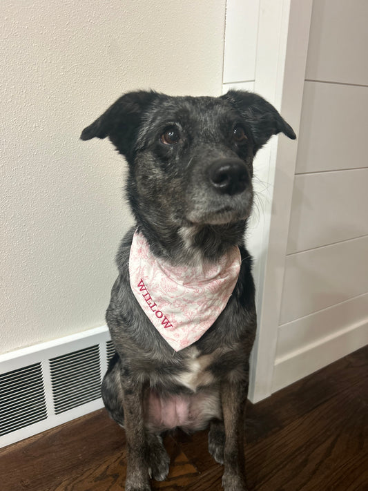 Pink Swirl Custom Dog Bandana