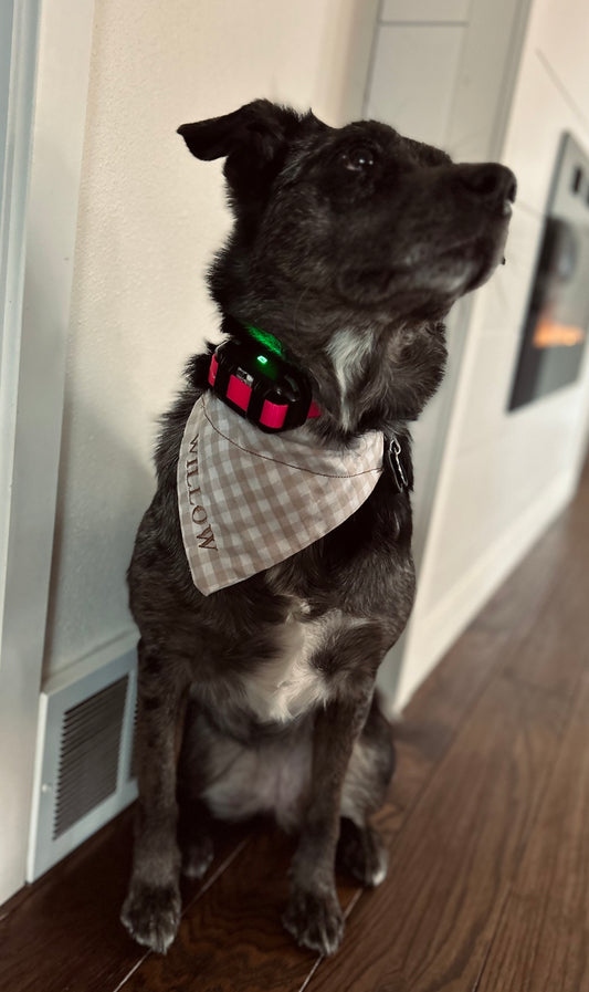 Light Gingham Dog Bandana