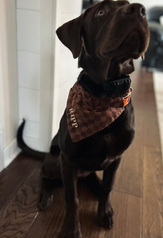 Chocolate Checkered Dog Bandana
