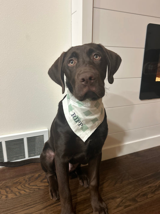 Green Gingham Custom Dog Bandana